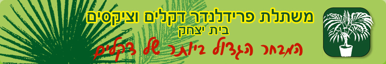 משתלת פרידלנדר דקלים וציקסים